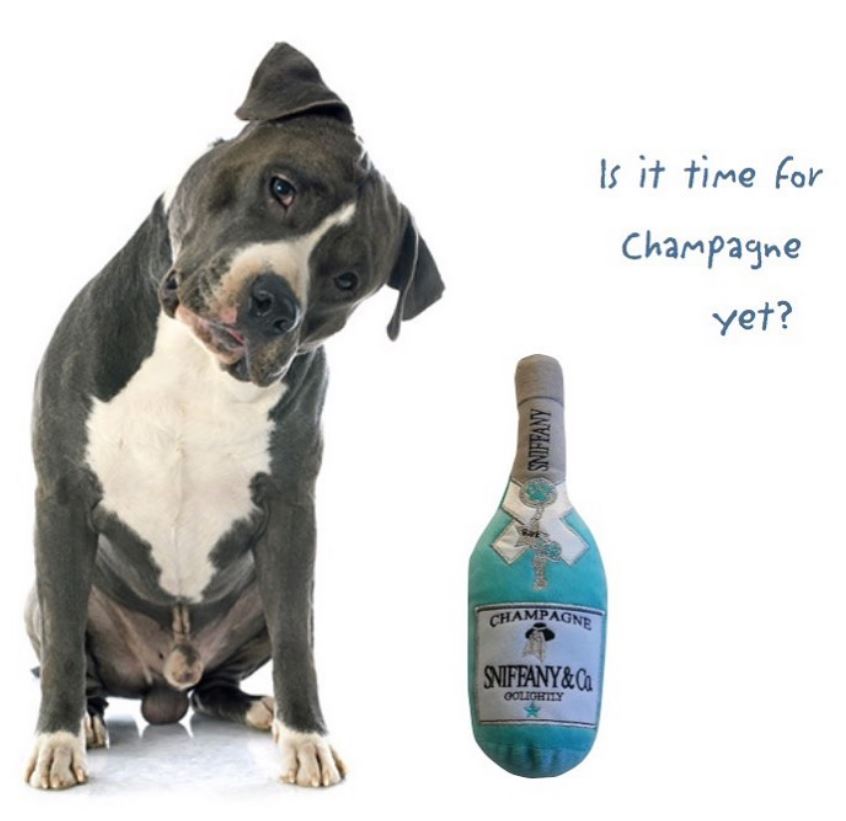Sniffany Champagne