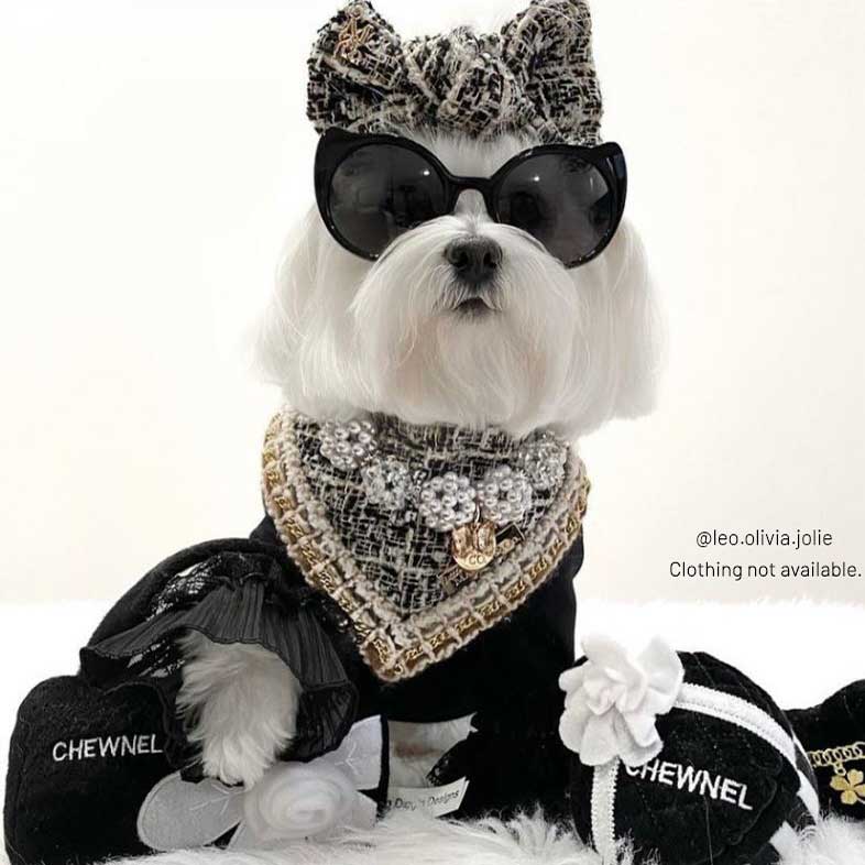 Chewnel Noir Collection